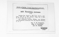 Image Associated With the Occurence